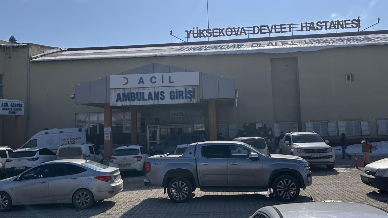Hakkari'de Saldırgan Köpeklerin Kurbanı Çocuğun Acı Sonu