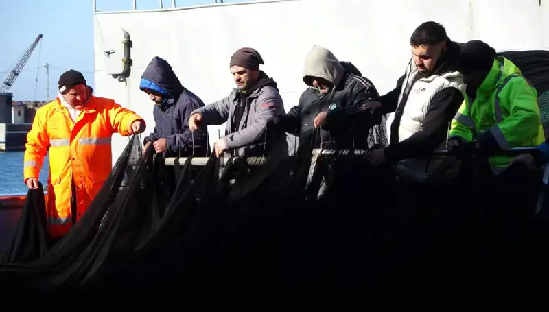 Denizlerde Hamsi Avı Sonlandı: Tekneler Erken Paydos Etti!