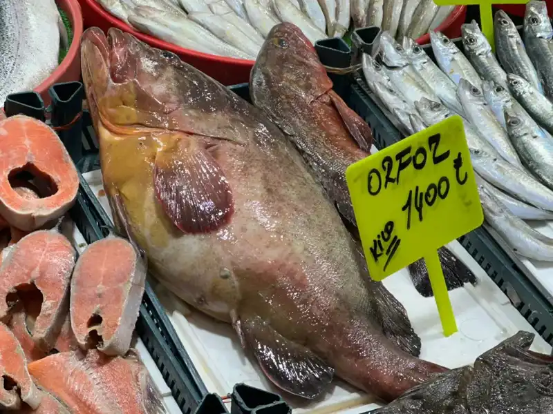 Çeyrek Altın Değerindeki Balık: 7,5 Kilo, 10 Bin 500 Lira!