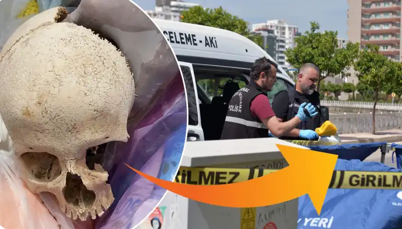 Sitenin Çöpünden Çıkan Kafatasının Sırrı: Uzman Doktora Gözaltı
