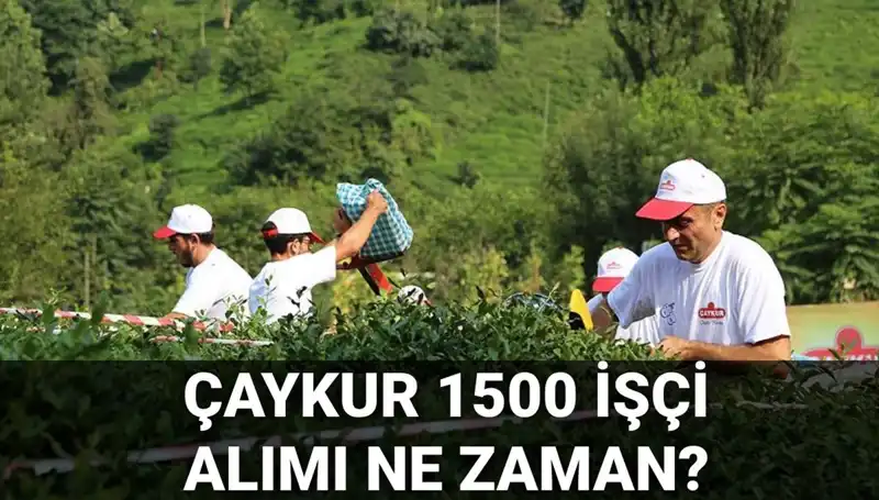 Çaykur İşçi Alımı Başvuru Tarihleri ve Detaylar Belli Oldu!