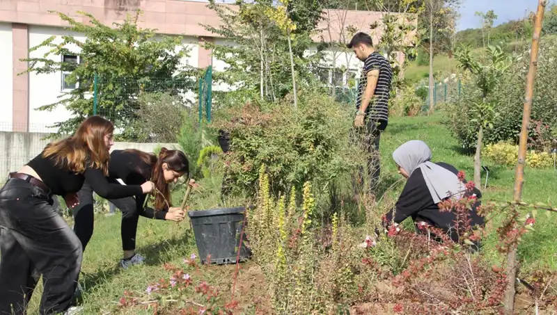Düzce’nin Gururu: Global Arenada Tanınan Bir Markanın Hikayesi