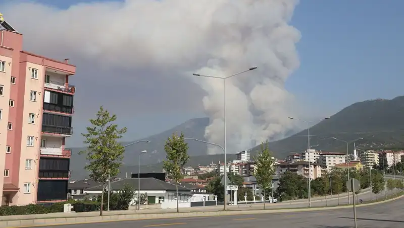 Denizli’deki Orman Yangınında Şok Gelişme: Bir Şüpheli Gözaltına Alındı