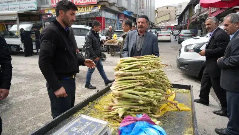 Dağlardan Faydalanarak Kanser ve Mide Hastalıklarına Çözüm: Şekerin Faydaları