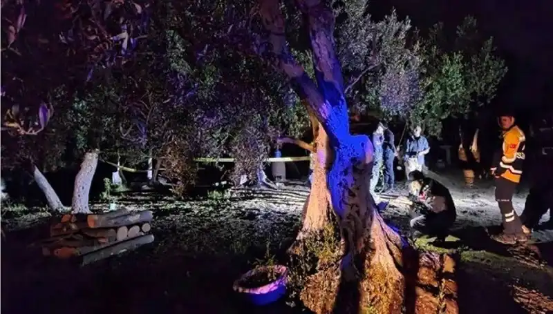 Çiftlikteki Baltalı Vahşet: Korkunç Olayda Bir Tutuklama Gerçekleşti