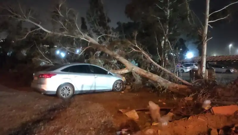 Hatay'da Şiddetli Fırtına: Tekne ve Ağaçları Yerle Bir Etti