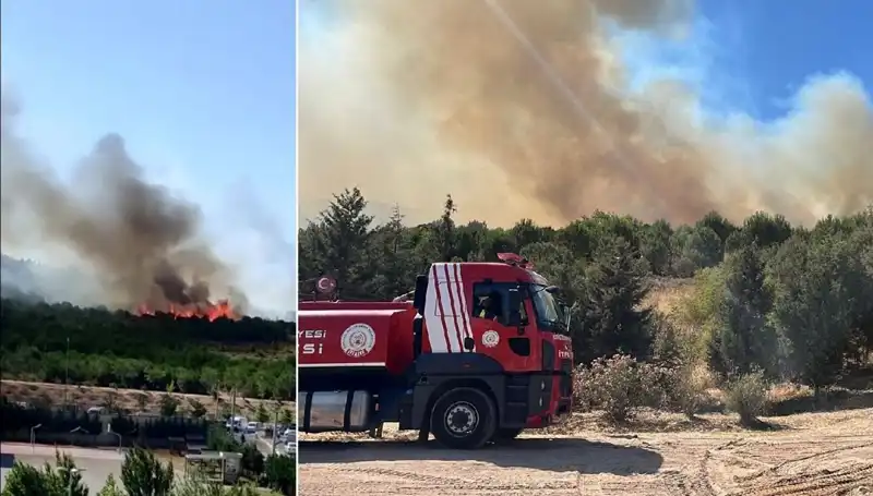 Gebze’deki Orman Yangını: Doğa Katliamı ve Mücadele Süreci