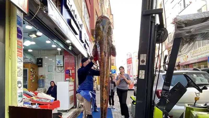 Meriç Nehri’nde Yakalanan Dev Balık: Tam 3 Metre ve 450 Lira