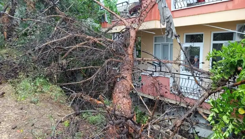 Yağmurlar, Eski Bina İle Yüzleşiyor: Çöken Yapının Hikayesi
