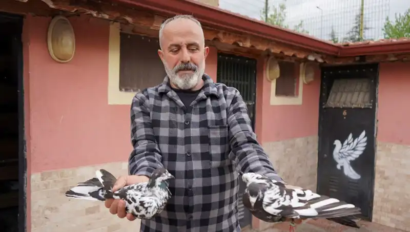 42 Yıllık Hobi, Profesyonel Tesise Dönüştü: İl Dışından Yoğun İlgi