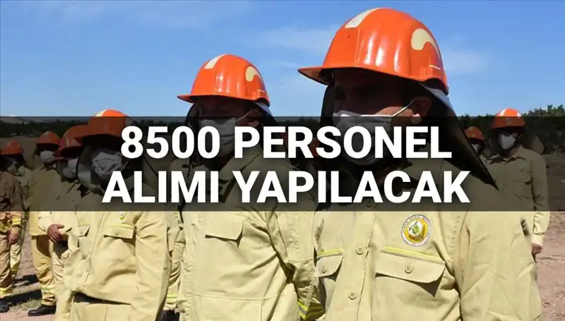 2025 Tarım ve Orman Bakanlığı 8500 Personel Alımı: Ne Zaman ve Hangi Şartlar Geçerli?