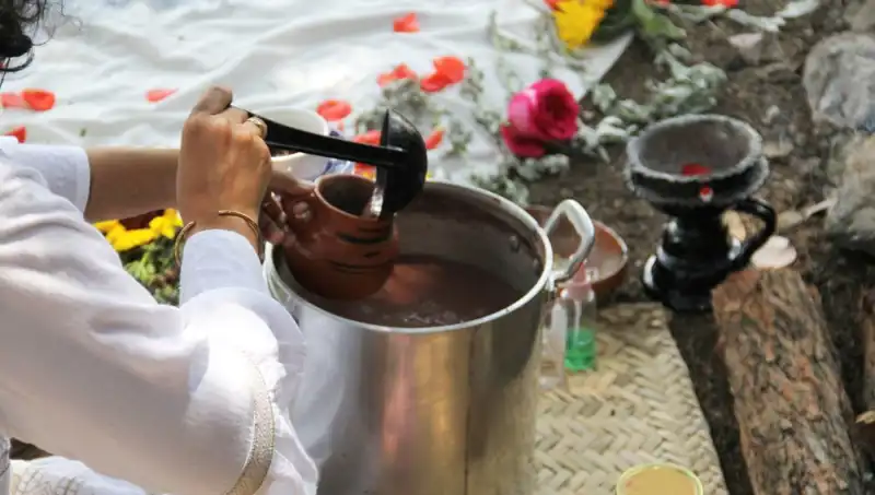 Ayahuasca: Gizemli Şifalı Çayın Yükselişi ve Yasal Durumu