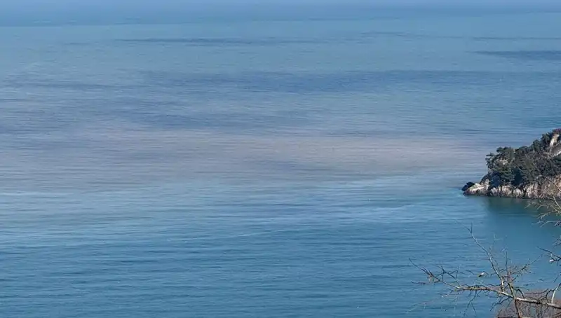 Bartın Irmağı'ndan Deniz Rengine Çamur Karıştı, Şehirde Panik Yarattı!