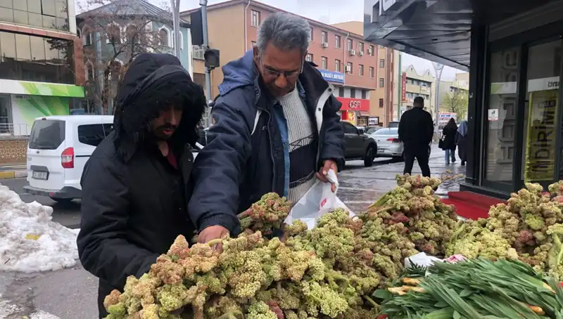 Kendiliğinden Yetişen Doğal İyileştirici: Kanserle Mücadelede Yeni Umut