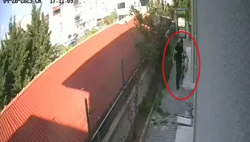 Evdeki Köpeklerini Parçalayarak Öldüren Doktorun Şok Edici Suçuna Dahil Olduğu Detaylar