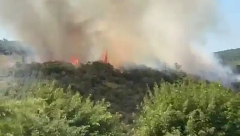İstanbul’da Orman Yangını: Vatandaşlar Acil Tahliye Ediliyor