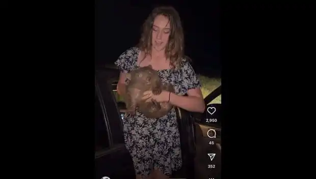 Yavru Hayvanı Anneden Ayıran Anlar: Viral Paylaşım Sonrası Ülkeyi Terk Edemeyenler!