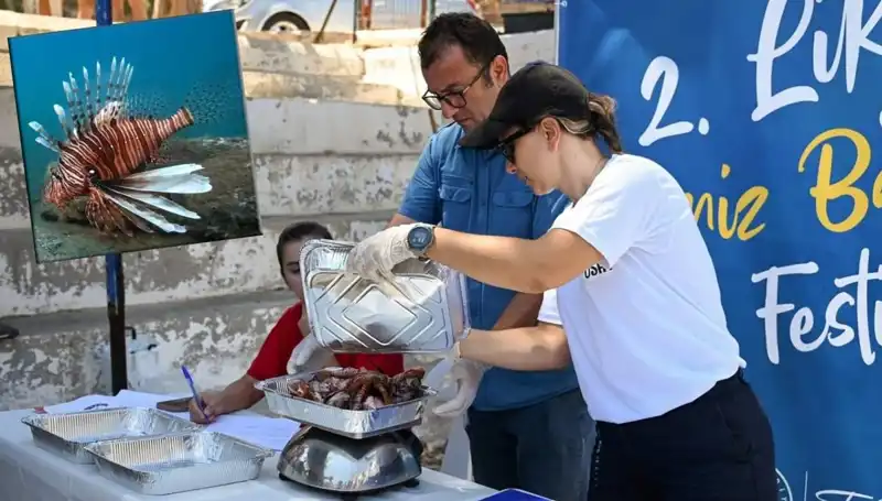 Antalya'da İstilacı Aslan Balığı Avlama Yarışması: Doğaya Farkındalık Kazandırma Amaçlanıyor