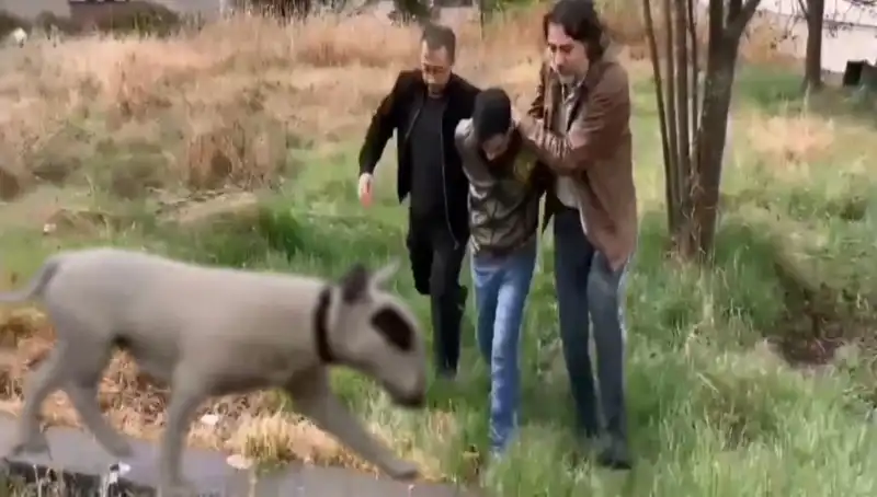 Ankara'da 430 Bin Lira Değerindeki Şampiyon Köpeği Çalan Hırsız Yakalandı