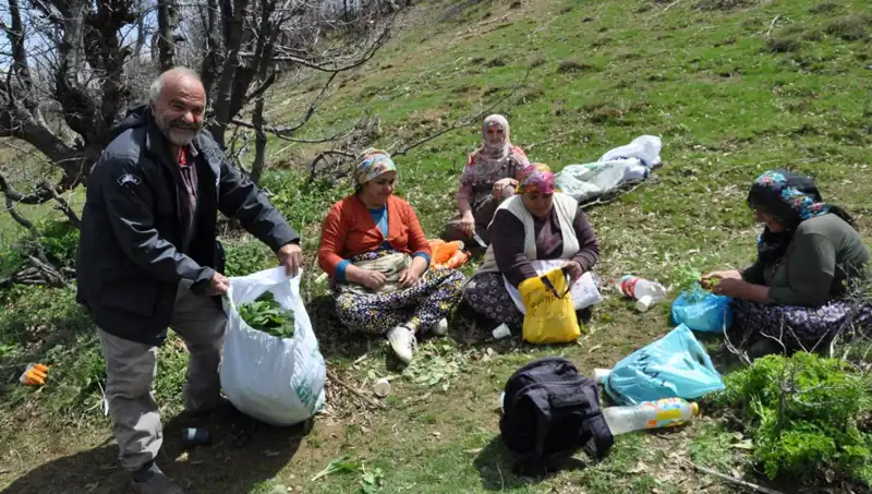 Türkiye'nin Doğa Hazinesi: 5 Saatlik Yolculukla Toplanan Mantarın Hikayesi