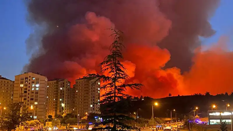 Bursa'da Yangın Alarmı: Tarihi ve Doğal Güzellikler Tehdit Altında