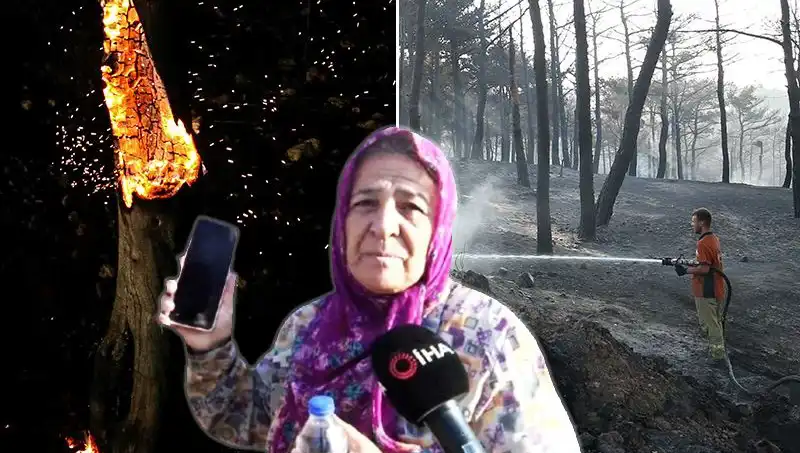 Çanakkale Orman Yangınları Kontrol Altına Alındı, Ama Ardında Kayıplar Bıraktı!