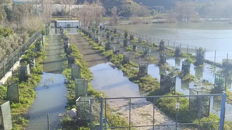 Irmakta Yaşanan Taşkın, Otoyol Şantiyesini Sular Altında Bıraktı