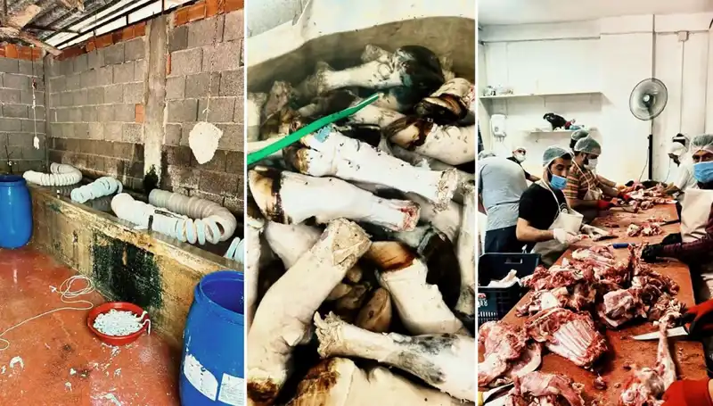 Adana'da Şok Eden Olay: Yüzlerce Kilo Paça Ele Geçirildi