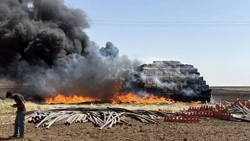 Mardin'de Anız Yangınları: Tarıma ve Ekonomiye Olumsuz Etkiler