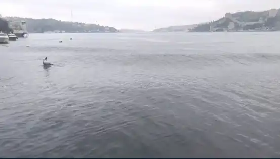 İstanbul’u Sarsan 6,2 Büyüklüğündeki Deprem: Denizde Yükselen Dalgalar!